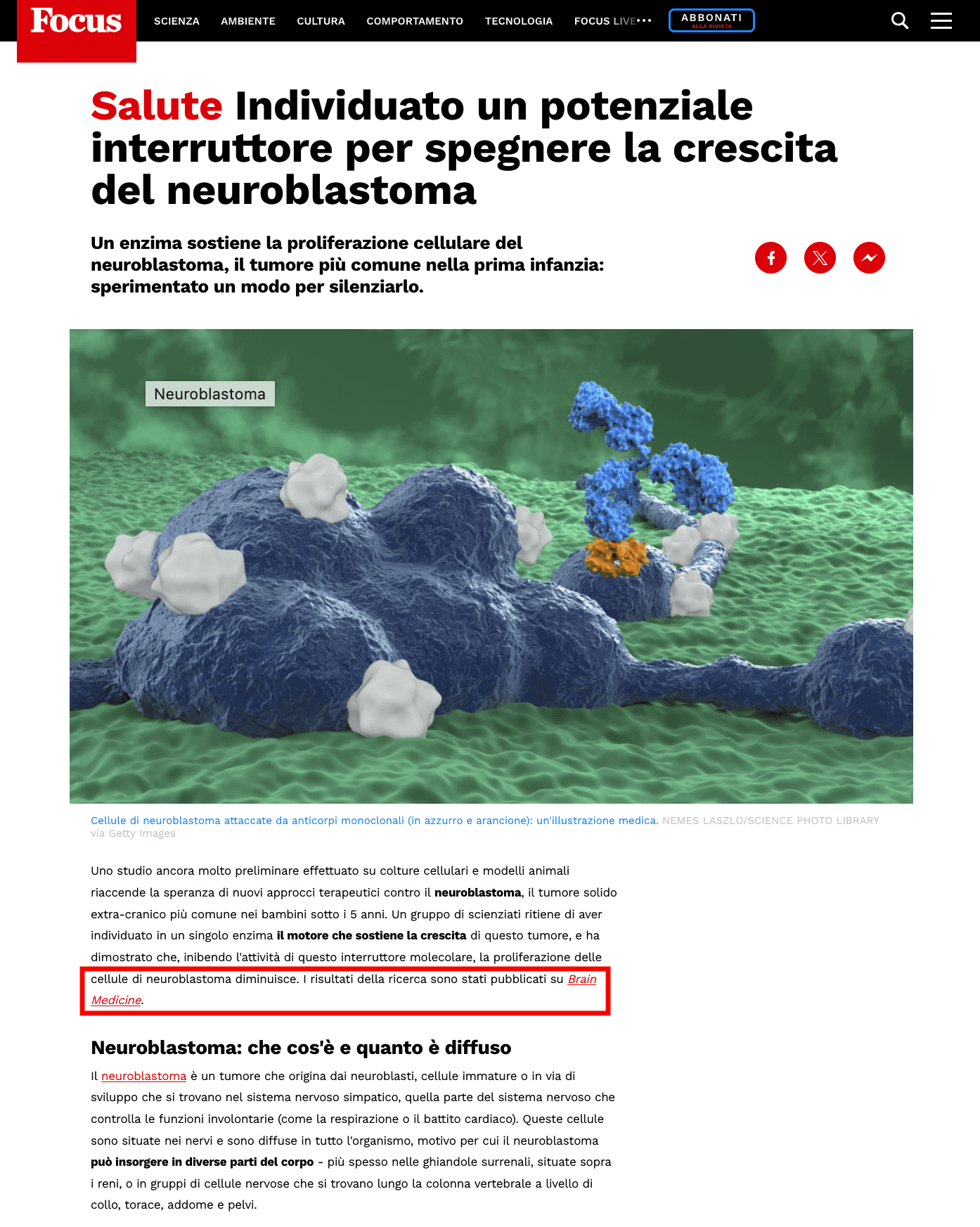 Der Standard featuring Mone Zaidi research